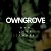 OWNGROVE logo